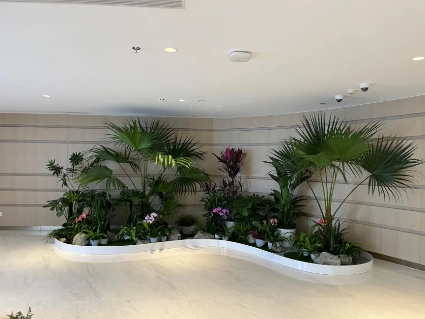 租摆花木来宁波前湾，优质服务让你眼前一亮！